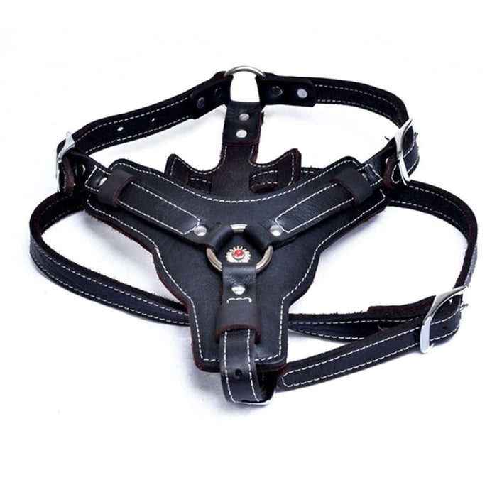 Real Leather Dog Harness with Center Metal Ring