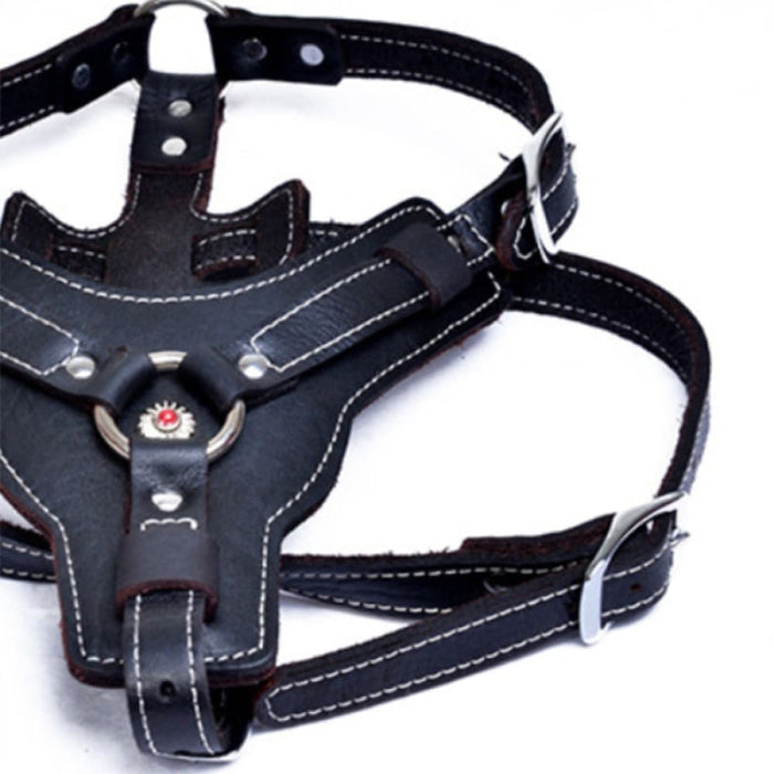 Real Leather Dog Harness with Center Metal Ring