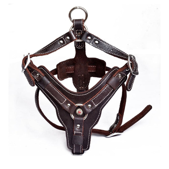 Real Leather Dog Harness with Center Metal Ring