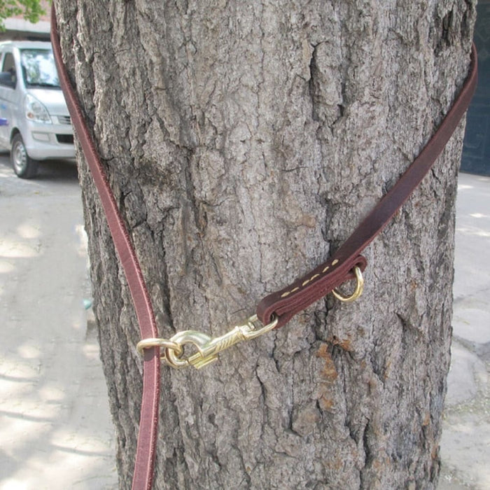 Real Leather Dog Leash And Tied Rope