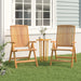 Reclining Garden Chair 2 Pcs Solid Wood Teak Tlxlll