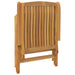 Reclining Garden Chair 2 Pcs Solid Wood Teak Tlxlll