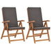 Nz Local Stock-reclining Garden Chairs with Cushions 2 Pcs