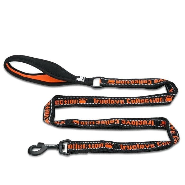 Reflective Nylon Leash for Pets