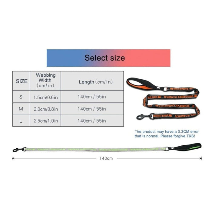 Reflective Nylon Leash for Pets