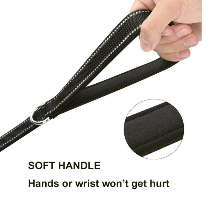 Reflective Padded Two Handle Durable Nylon Pet Training