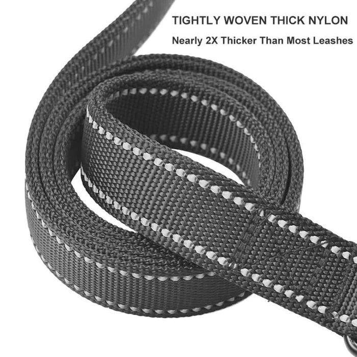 Reflective Padded Two Handle Durable Nylon Pet Training