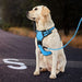 Reflective no Pull Dog Harness