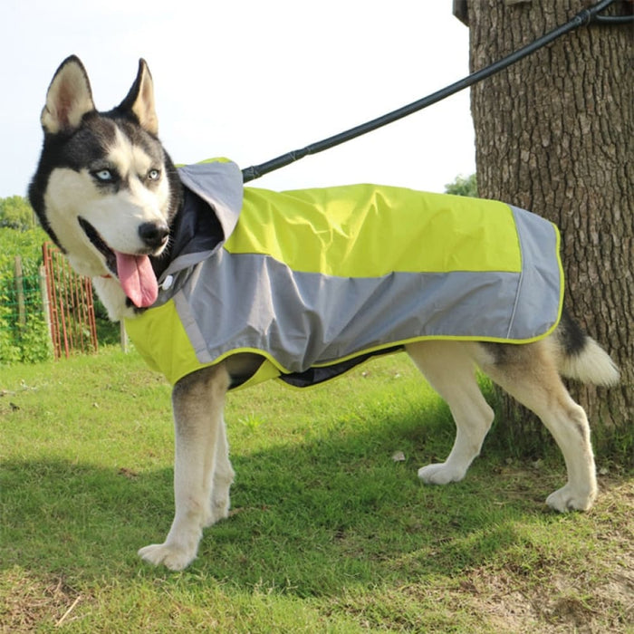 Reflective Raincoat with Traction Hole for Big Dogs