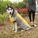 Reflective Raincoat with Traction Hole for Big Dogs