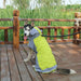 Reflective Raincoat with Traction Hole for Big Dogs