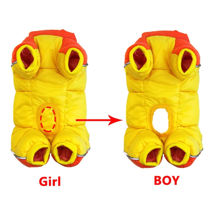 Reflective Winter Dog Coat for Small Breeds