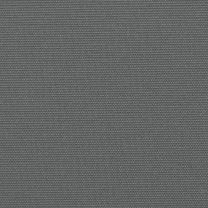 Retractable Side Awning Anthracite 140x600 Cm Abbapon