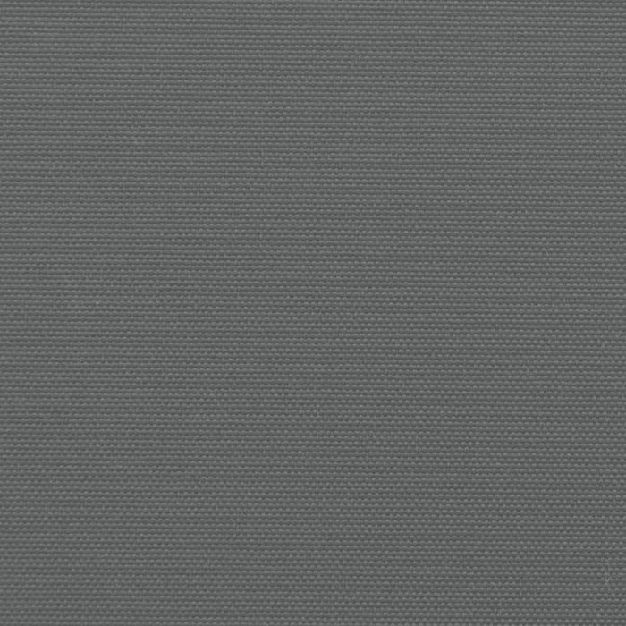 Retractable Side Awning Anthracite 200x600 Cm Abbaplt