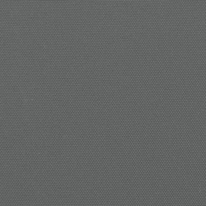 Retractable Side Awning Anthracite 220x600 Cm Abbapin