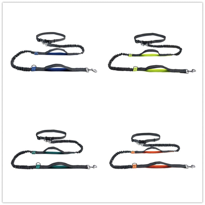 Running Reflective Stitching Handsfree Dual Handles Pet