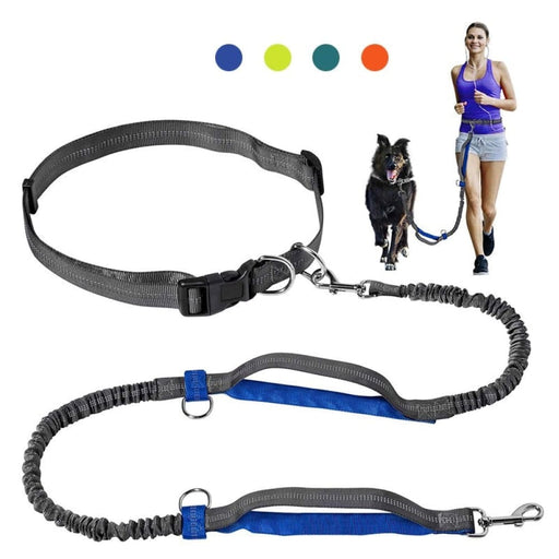 Running Reflective Stitching Handsfree Dual Handles Pet