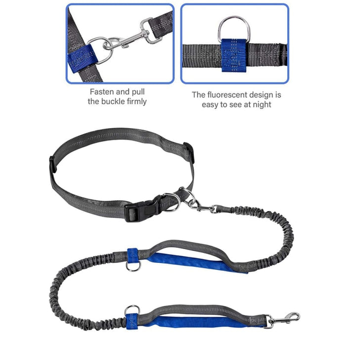 Running Reflective Stitching Handsfree Dual Handles Pet