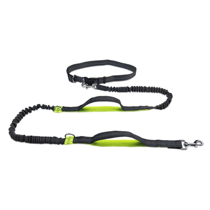 Running Reflective Stitching Handsfree Dual Handles Pet