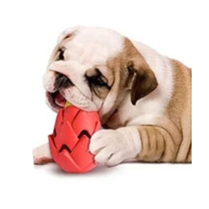 Safe Teething Pitaya Dog Chew Treat Toys for Small Medium