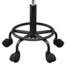 Salon Stool Swivel Height Adjustable Round Barber Spa Chair