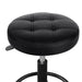 Salon Stool Swivel Height Adjustable Round Barber Spa Chair