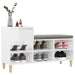 Shoe Cabinet Glossy Look White 102x36x60 Cm Engineered Wood