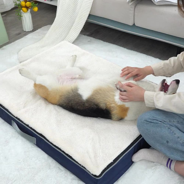 Non-skid Washable Waterproof Memory Foam Pet Bed for Small