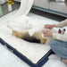 Non-skid Washable Waterproof Memory Foam Pet Bed for Small