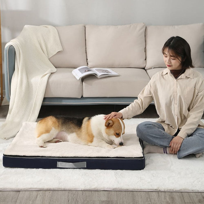 Non-skid Washable Waterproof Memory Foam Pet Bed for Small