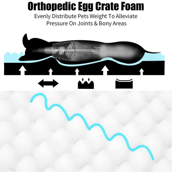 Non-skid Washable Waterproof Memory Foam Pet Bed for Small