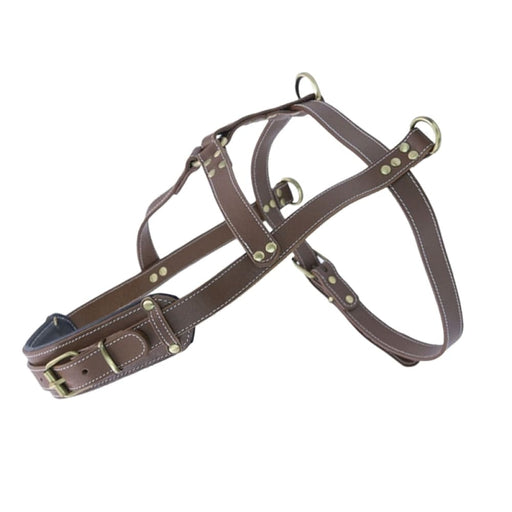 Sled Dog Leather Harness