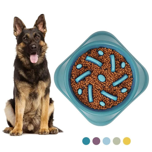 Non - slip Stable Puzzle Pet Food Slow Feeder Dog Bowl