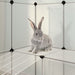 Small Animal Cage Transparent 142x74x93 Cm Pp and Steel