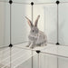 Small Animal Cage Transparent 143x107x93 Cm Pp and Steel
