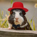 Small Animal Bow Tie Hats Outfit Suit Cosplay Cute Pet Hat