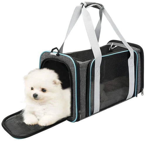 Small Dog Carrier With Reversible Mat And Shoulder Strap