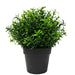 Small Potted Artificial Bright Rosemary Herb Plant Uv