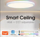 Smart Rgb Ceiling Lamp