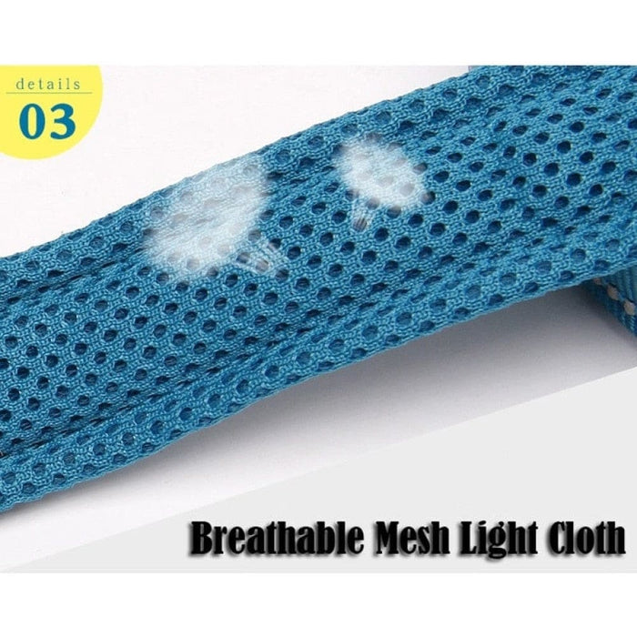 Soft Reflective Nylon Leash in Harness and Collar