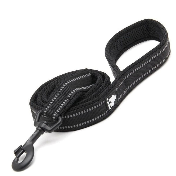 Soft Reflective Nylon Leash in Harness and Collar