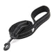 Soft Reflective Nylon Leash in Harness and Collar