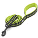 Soft Reflective Nylon Leash in Harness and Collar