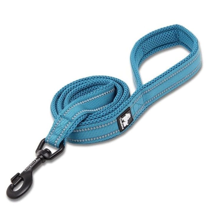 Soft Reflective Nylon Leash in Harness and Collar