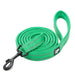 Soft Reflective Nylon Leash in Harness and Collar