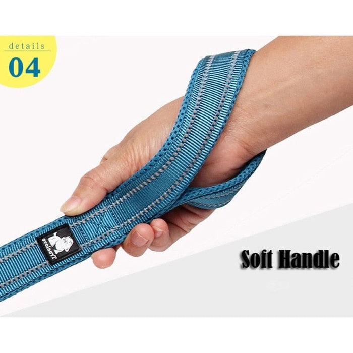 Soft Reflective Nylon Leash in Harness and Collar