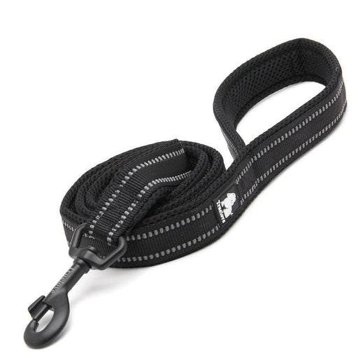 Soft Reflective Nylon Leash in Harness and Collar