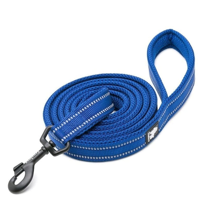Soft Reflective Nylon Leash in Harness and Collar