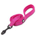 Soft Reflective Nylon Leash in Harness and Collar