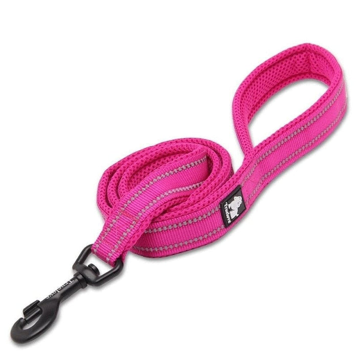 Soft Reflective Nylon Leash in Harness and Collar